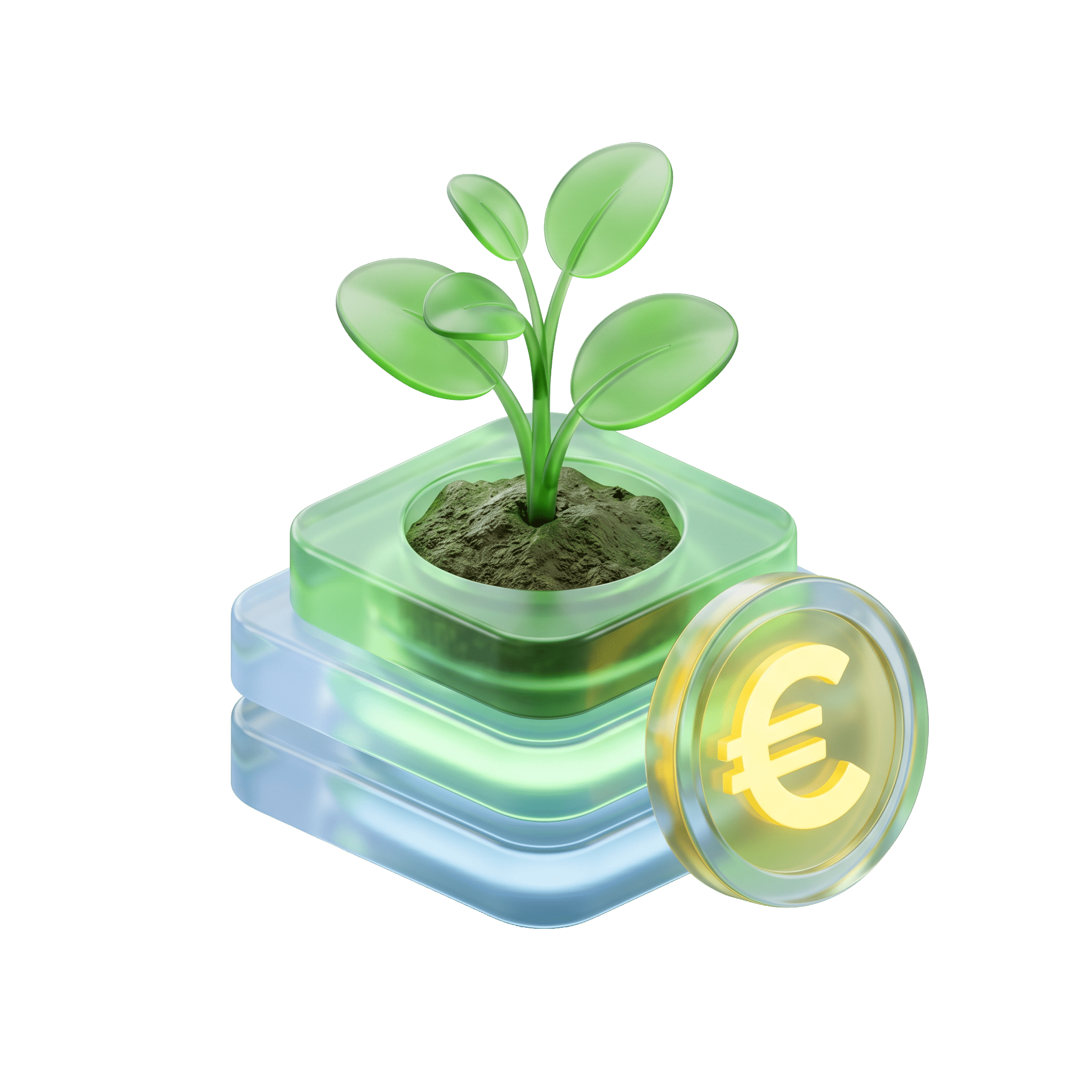 Pianta con moneta euro
